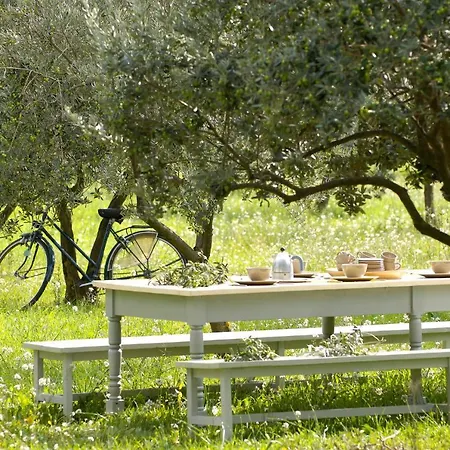 Alegria Provence * Aups